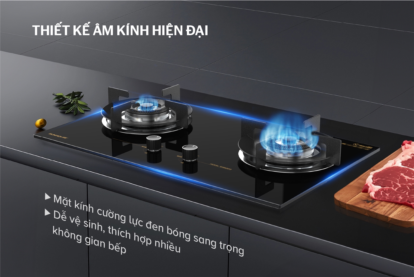 Bếp gas âm kính SUNHOUSE SHB62010