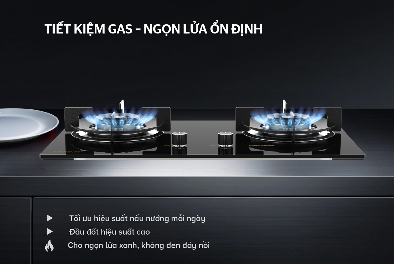 Bếp gas âm kính SUNHOUSE SHB62010
