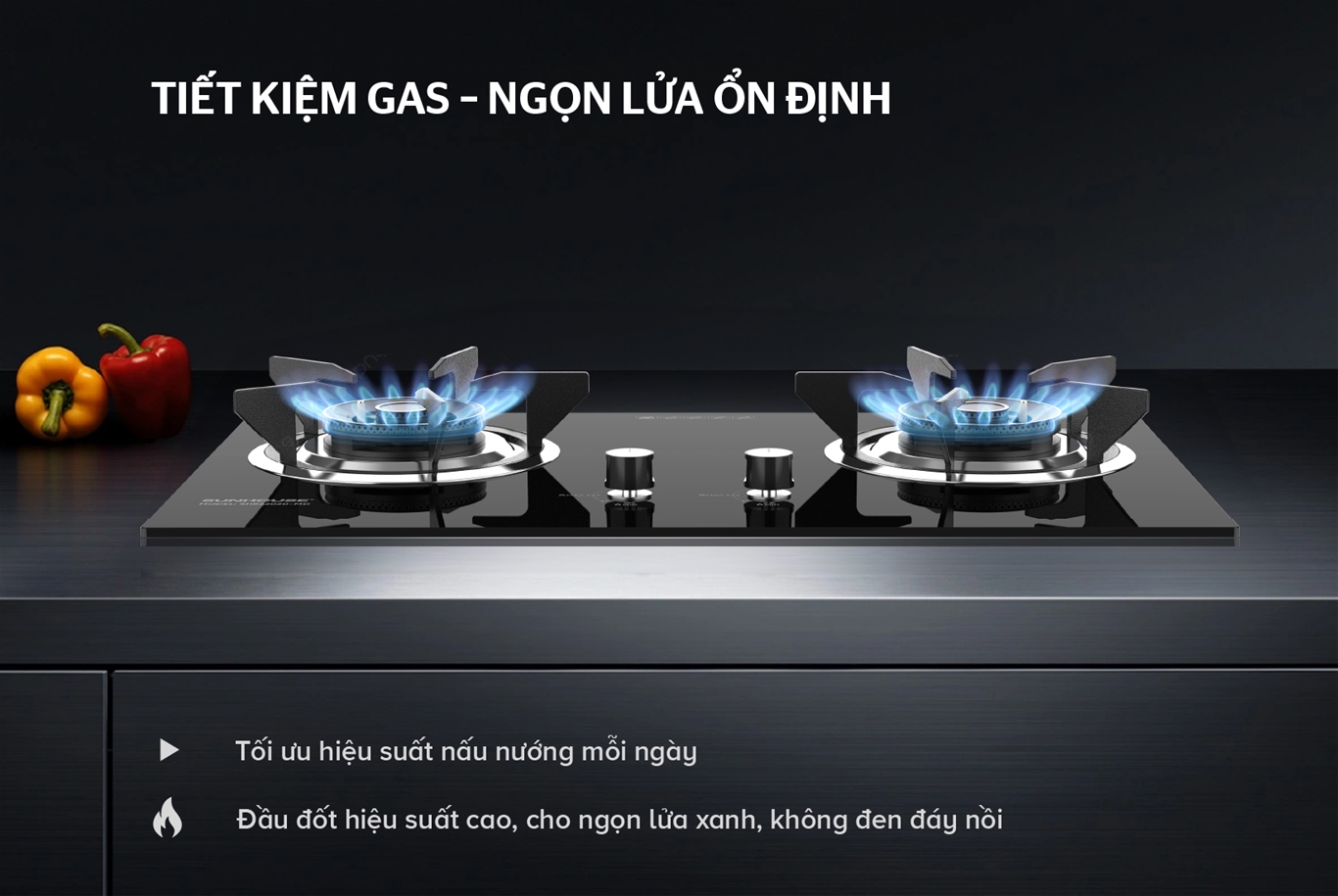 Bếp gas âm kính SUNHOUSE SHB62030