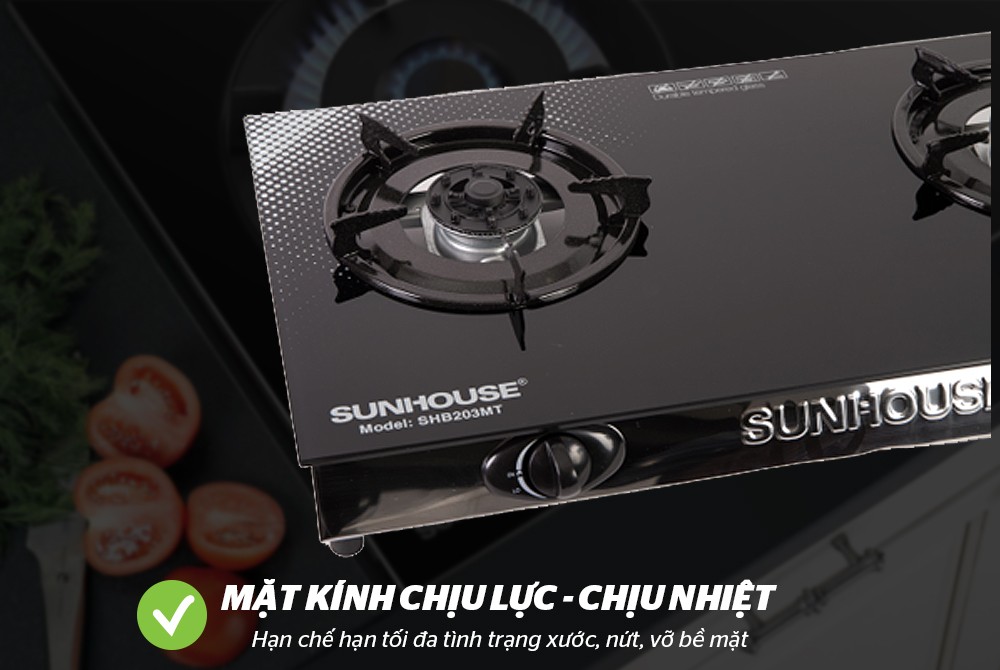 Bếp gas dương kính SUNHOUSE SHB203MT
