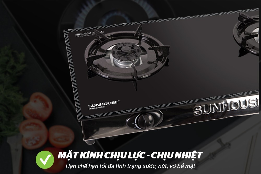 Bếp gas dương kính SUNHOUSE SHB206MT