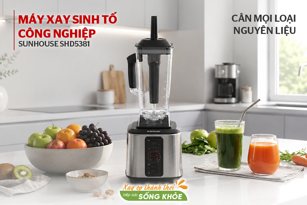 Máy xay sinh tố công nghiệp SUNHOUSE SHD5381